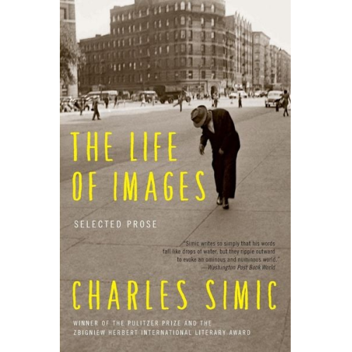 Charles Simic - The Life of Images