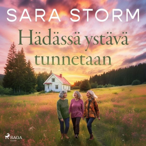 Sara Storm - Hädässä ystävä tunnetaan