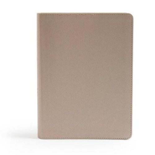 Raechel Myers Amanda Bible Williams CSB Bibles by Holman - CSB She Reads Truth Bible, Champagne Gold Leathertouch