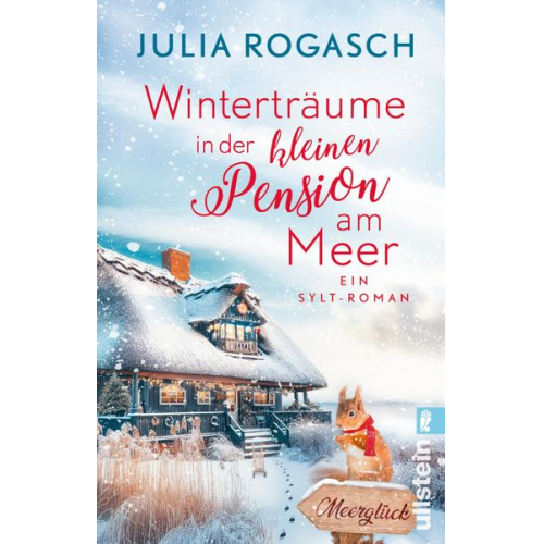 Julia Rogasch - Winterträume in der kleinen Pension am Meer