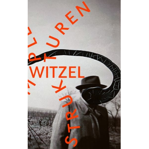 Frank Witzel - Komplexe Strukturen