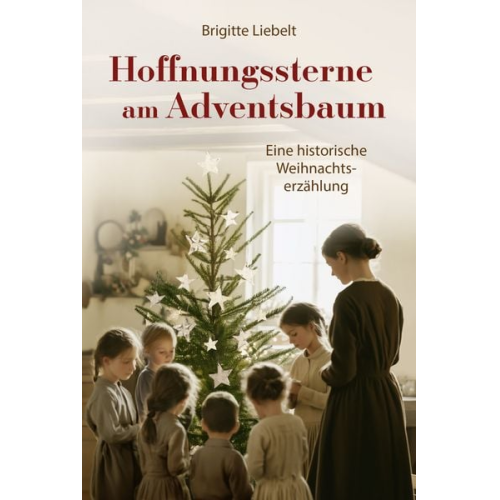 Brigitte Liebelt - Hoffnungssterne am Adventsbaum