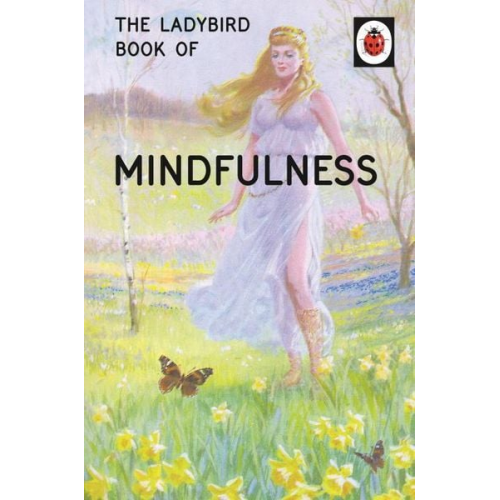 Jason Hazeley Joel Morris - The Ladybird Book of Mindfulness