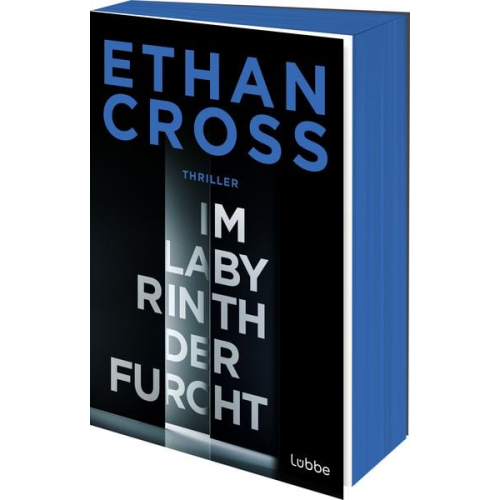 Ethan Cross - Im Labyrinth der Furcht
