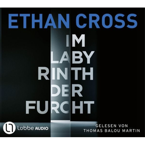 Ethan Cross - Im Labyrinth der Furcht