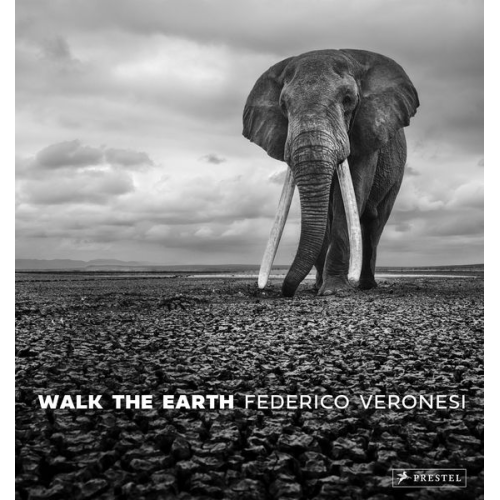 Federico Veronesi - Walk the Earth
