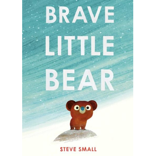 Small Steve - Brave Little Bear