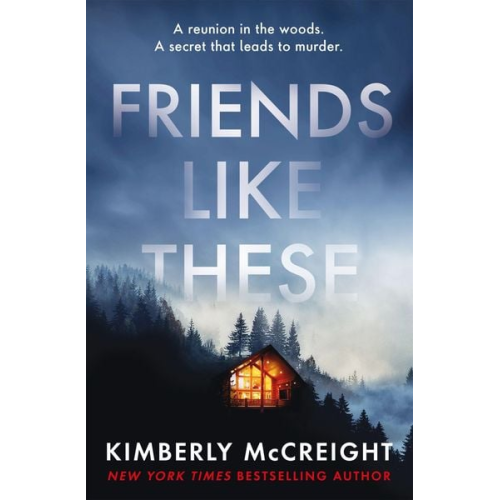 Kimberly McCreight - Friends Like These