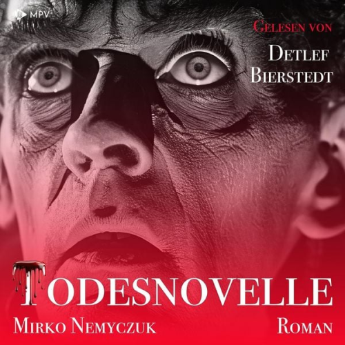 Mirko Nemyczuk - Todesnovelle: Ein kurzer Roman um Leben und Tod