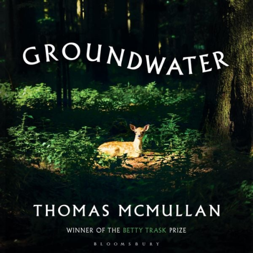 Thomas McMullan - Groundwater