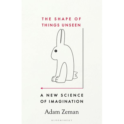 Adam Zeman - The Shape of Things Unseen