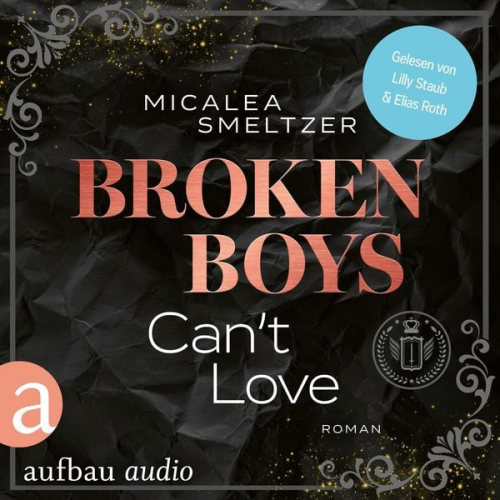 Micalea Smeltzer - Broken Boys Can't Love - College Sports Romance