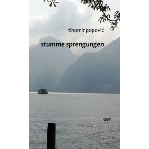 Tihomir Popovic - Stumme sprengungen
