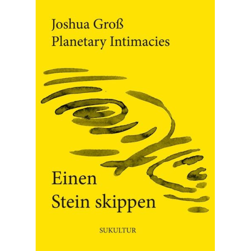 Joshua Gross - Einen Stein skippen