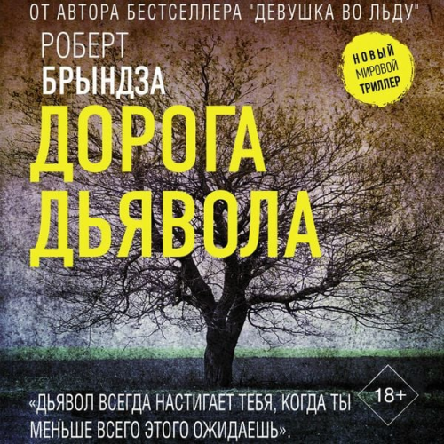 Robert Bryndza - Doroga dyavola
