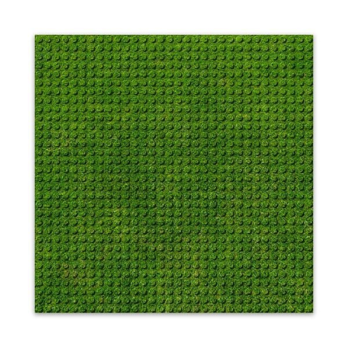 BRIXIES 225000 - Platte 32 x 32 Rasen, Fotorealistische Bauplatte, 1 Stück