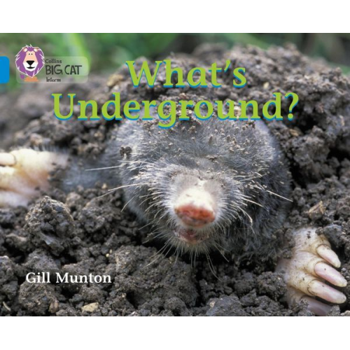 Gill Munton - What's Underground