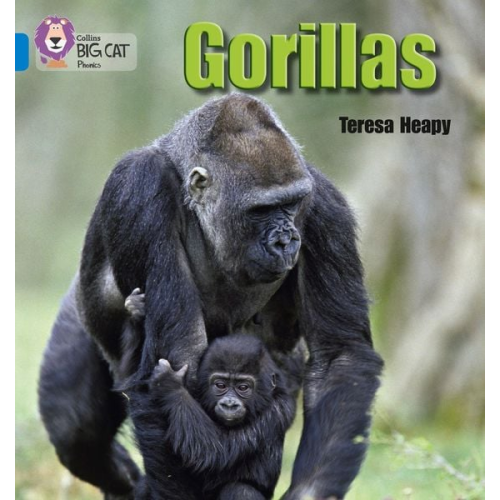 Teresa Heapy - Gorillas