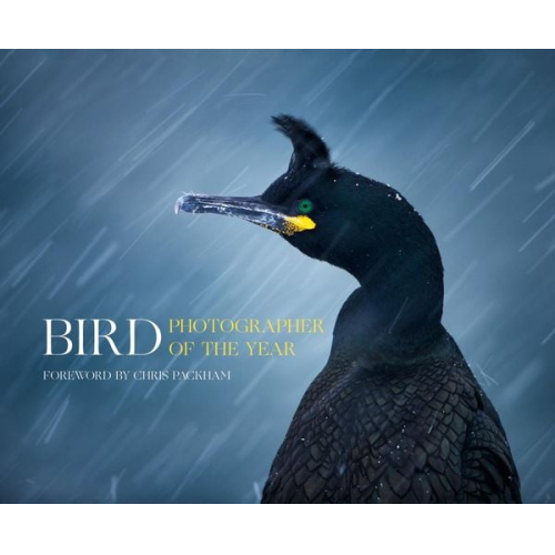 Bird Photographer of the Year - Bird Photographer of the Year