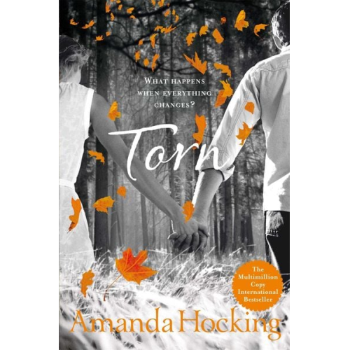 Amanda Hocking - Torn