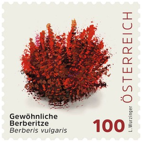 Porto NEU ab 01.05.2025: Österreichische Post 1,00 € Briefmarken ECO S "Gewöhnliche Berberitze" selbstklebend, 4 St.