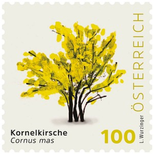 Porto NEU ab 01.05.2025: Österreichische Post 1,00 € Briefmarken ECO S "Kornelkirsche" selbstklebend, 25 St.
