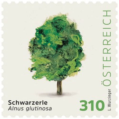 Porto NEU ab 01.05.2025: Österreichische Post 3,10 € Briefmarken ECO M "Schwarzerle" selbstklebend, 25 St.