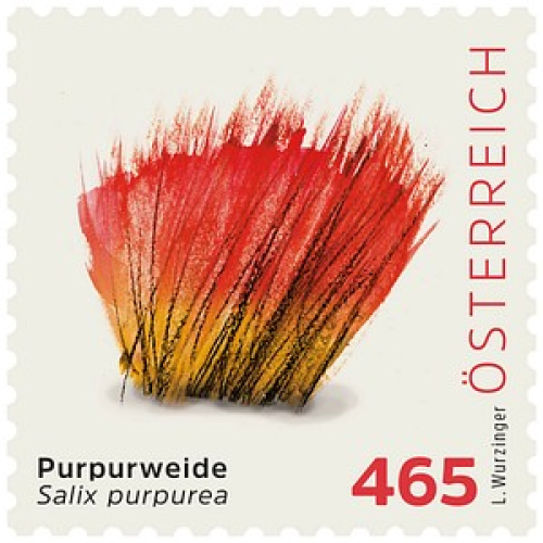Porto NEU ab 01.05.2025: Österreichische Post 4,65 € Briefmarken ECO M "Purpurweide" selbstklebend, 4 St.