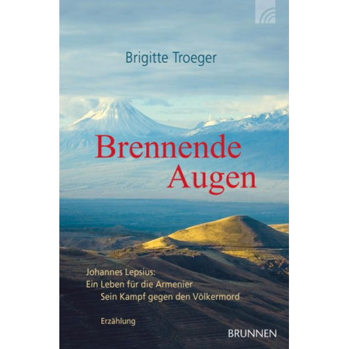 Brigitte Troeger - Brennende Augen