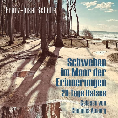 Franz-Josef Schulte - Schweben im Moor der Erinnerungen