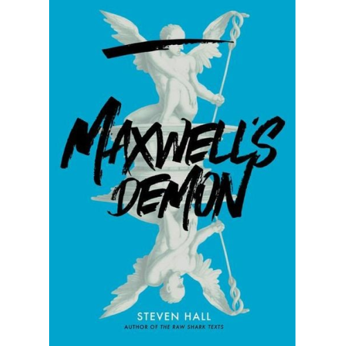 Steven Hall - Maxwell's Demon
