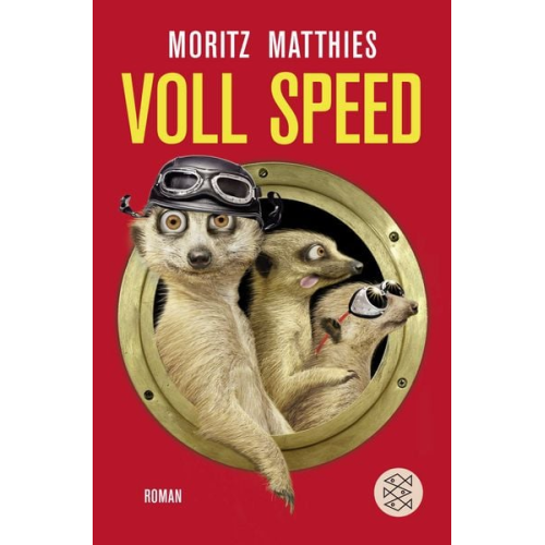 Moritz Matthies - Voll Speed / Ray & Rufus Bd. 2