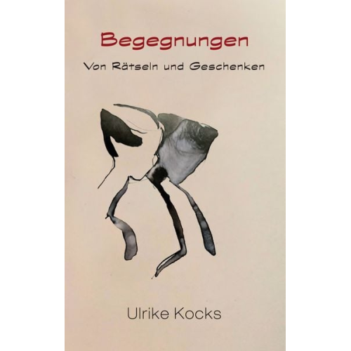 Ulrike Kocks - Begegnungen - Von Rätseln und Geschenken