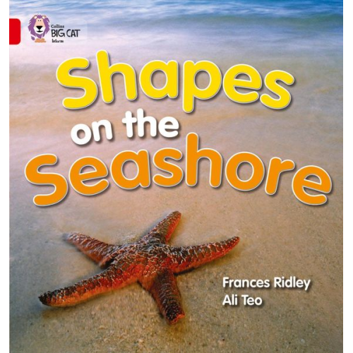Frances Ridley - Shapes on the Seashore