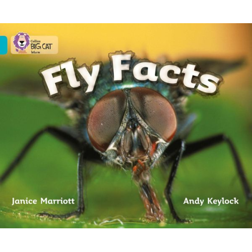 Janice Marriott - Fly Facts