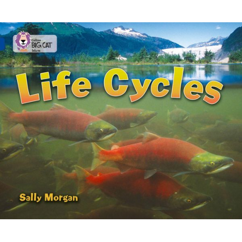 Sally Morgan - Life Cycles