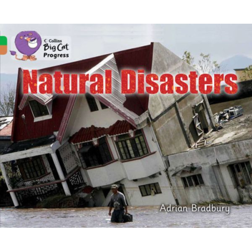 Adrian Bradbury - Natural Disasters