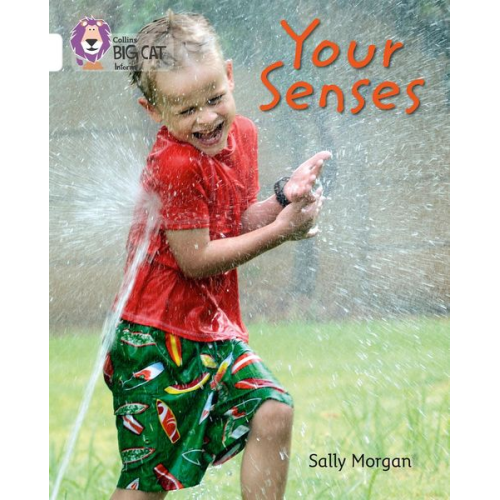 Sally Morgan - Your Senses