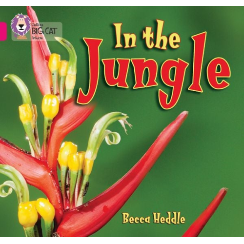 Becca Heddle - In the Jungle
