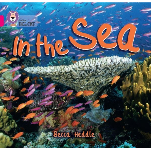 Becca Heddle - In the Sea