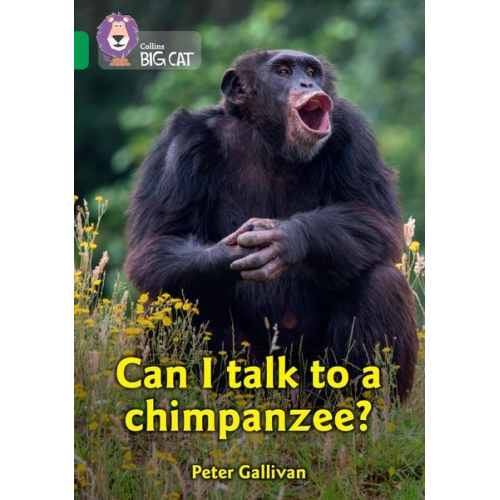 Stuart Hill - Collins Big Cat -- Can I Talk to a Chimpanzee?: Band 18/Pearl