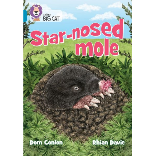 Dom Conlon - Star-Nosed Mole