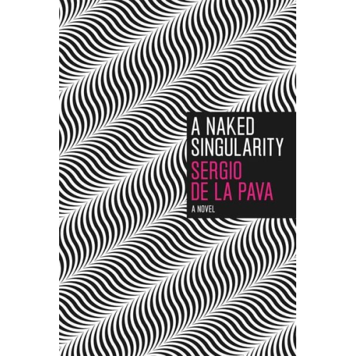 Sergio De La Pava - A Naked Singularity