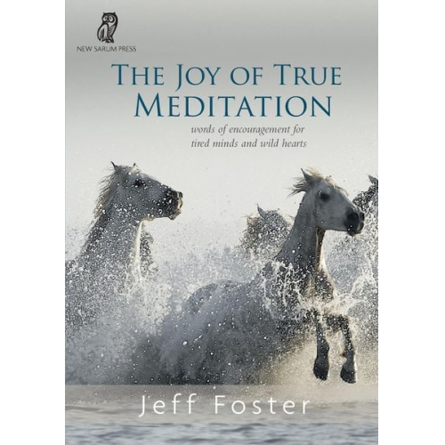 Jeff Foster - The joy of True Meditation