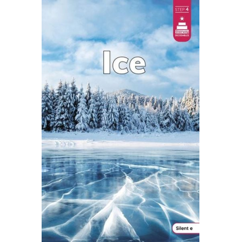 Laura Stickney - Ice