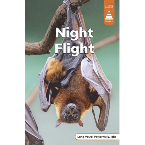 Marley Richmond - Night Flight