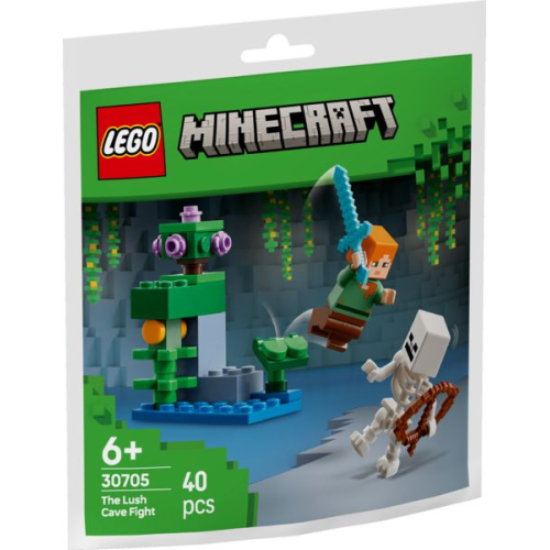 LEGO Minecraft 30705