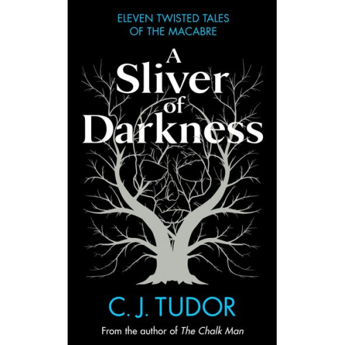 C. J. Tudor - A Sliver of Darkness