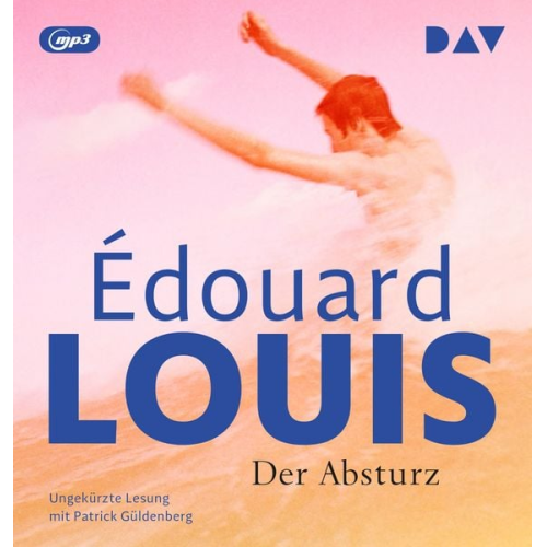 Édouard Louis - Der Absturz
