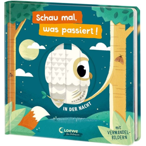 Schau mal, was passiert! In der Nacht